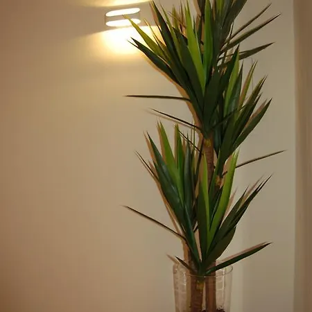 Nyaraló Golf 6 Óbidos