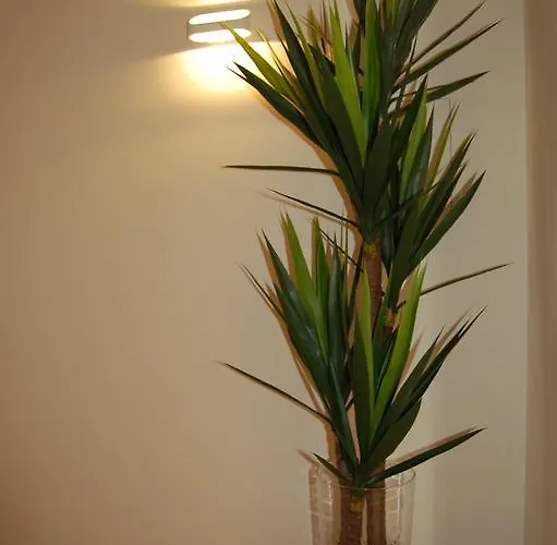 بيت للعطل Golf 6 Óbidos